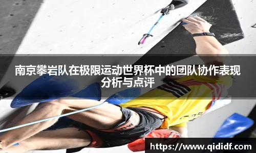 雷竞技官网
